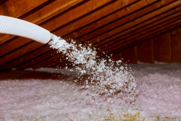 Best Insulation Materials and Products in Amelia, LA