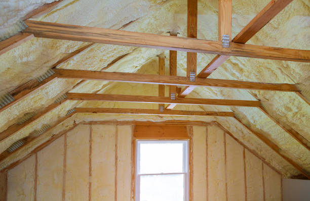 Best Insulation Maintenance and Repair in Amelia, LA