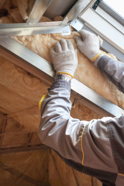 Best Insulation for Specific Applications in Amelia, LA
