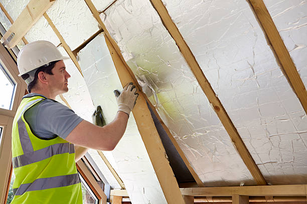 Best Types of Insulation in Amelia, LA