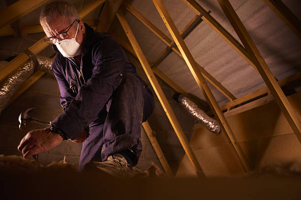 Best Insulation for Specific Applications in Amelia, LA